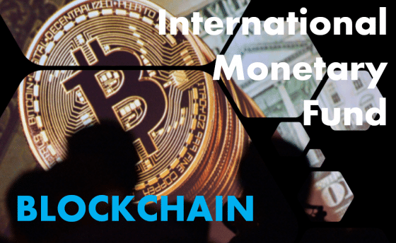 ‘위험자산 과열’ IMF 경고 현실화… 비트코인 급락, 글로벌 조정 신호탄일까