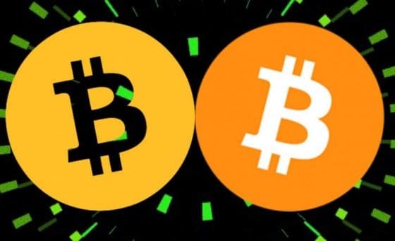 [전문가 코멘트] 비트코인은 통화로서의 기능 못해 – 로저 버