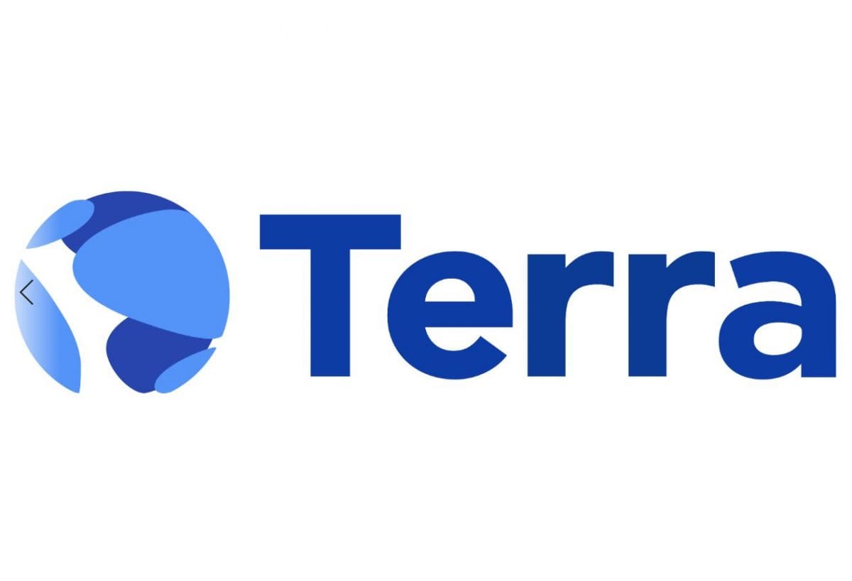 테라 사태, 손해 본 기관들과 빠져나온 기관들(1)