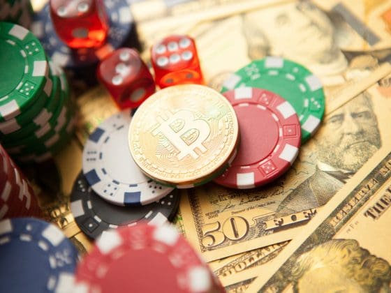 시바이누 보유자들 암호화폐 카지노 토큰 ICO로 자금 이동