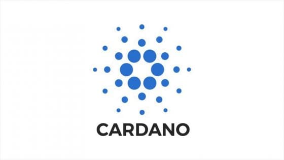 댄 감바르델로, 카르다노 장기적으로 까지 상승 전망