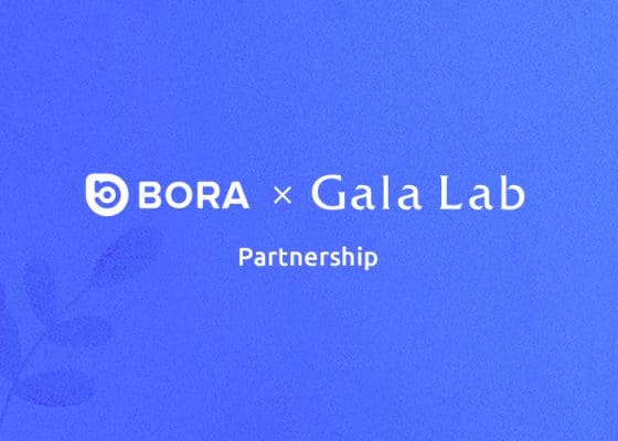 보라, ‘갈라랩’과 연 매출 100억원대 공동 사업 계약 체결