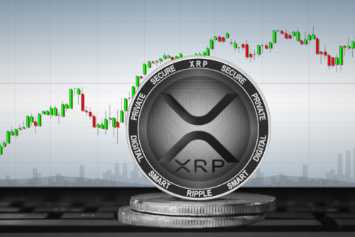 리플(XRP) 상어 고래 매수세로 가격 급등, 강세 지속 가능?