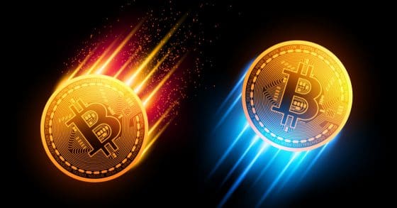 “최고치 범위 내에서 다지기” “주말 일부 변동성 예상” – 전문가 코멘트 정리