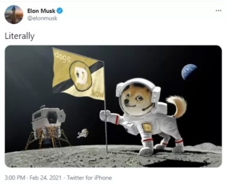 도지코인 얼마나 더 오를 수 있나? 부정적 거시 환경과 투기꾼의 선택