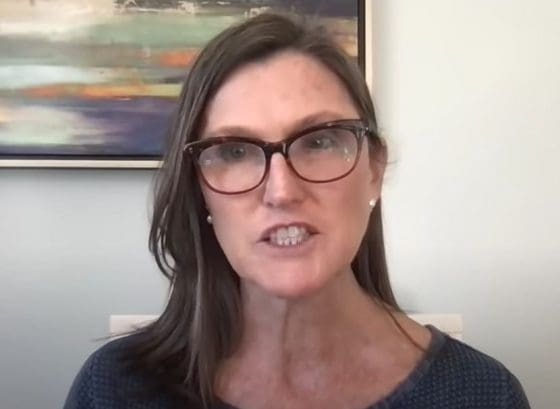 아크인베스트 캐시 우드 CEO “비트코인 하락 사이클 막바지”