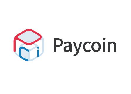 금융당국-페이코인 유통량 놓고 진실 공방…무슨일