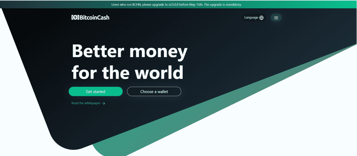 비트코인 캐시(BCH), 2025년 주요 레이어1 블록체인 성과 앞질러