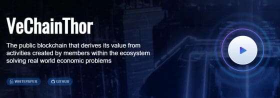 [핫! 코인] 비체인(VET)-중국에서 인기 있는 물류 블록체인!