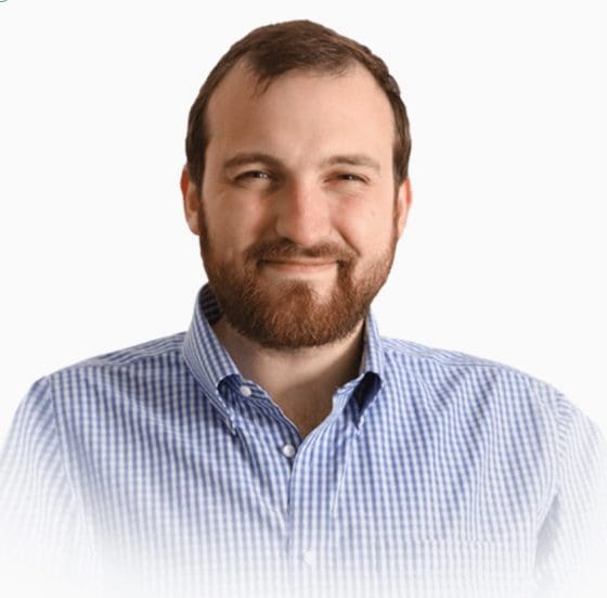 카르다노 창립자 호스킨슨 “베어 마켓은 사실 편안하다”