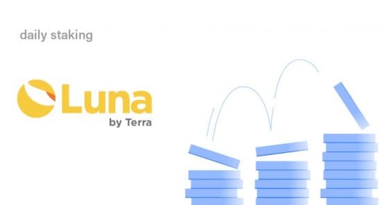 [핫! 코인] 실화냐! 전고점 돌파 테라(Luna).. “연말 100달러” 전망도(ft 솔라나)