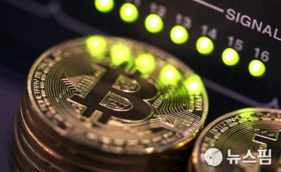 “위드 인플레, 위드 비트코인” …100년의 투자인 이유