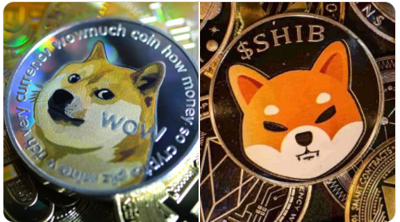 AMC 영화관 도지코인과 시바 이누 결제 허용 – CEO 발표