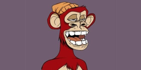 [8월 31일 정오 간추린 뉴스] 1년새 BAYC NFT 183억원 넘게 도난 外