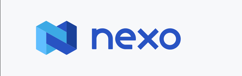 넥소 유동성 위기 볼드 인수 절차 착수