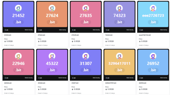 웹3.0 도메인 판매 경쟁 가열… ‘.bit’ 본격 판매