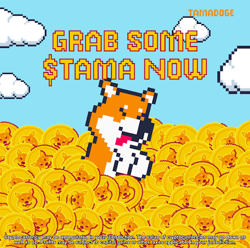 P2E 게임 타마도지 iOS 및 안드로이드 앱 출시