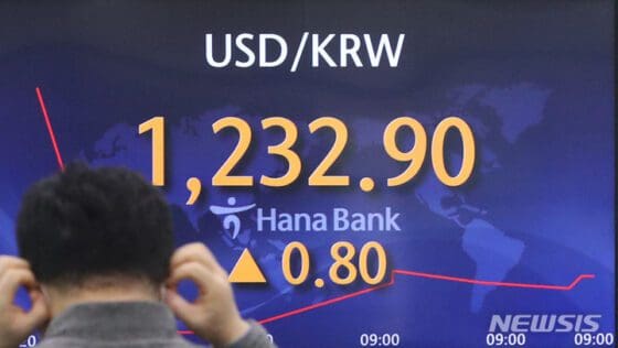 원·달러 환율, 소폭 상승…1235.5원 마감(종합)