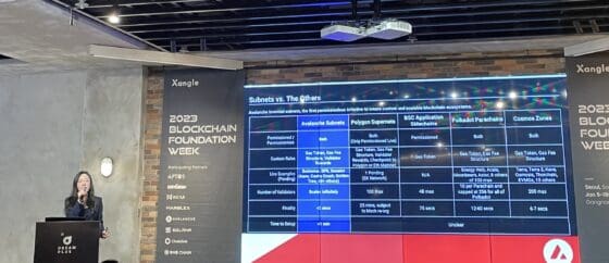 아발란체, “TPS 아닌 파이널리티, 자체 토큰 쓸 수 있는 서브넷으로 승부하겠다”