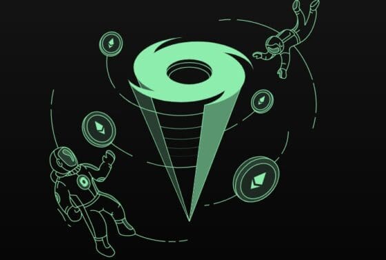 토네이도 캐시 공동 설립자 로만 스톰 보석 석방… 법적 공방 예고