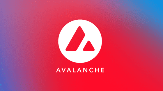 아발란체, JP모건 프로젝트 활용 소식에 두 자릿수 급등