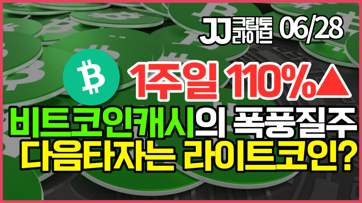 (영상) 비트코인캐시의 질주 어떻게 볼 것인가? (영상) 비트코인캐시의 질주 어떻게 볼 것인가?