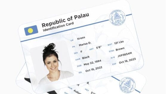 “바이낸스, 팔라우 디지털 신분증으로 KYC 금지”