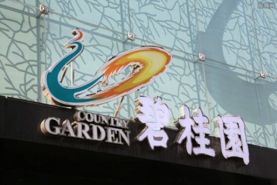 중국 최대 부동산업체 비구이위안, 달러 채권 디폴트 공식 선언