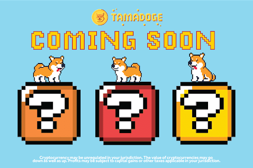 타마도지, 신규 이용자 확보 위한 이벤트 진행…앱 활성 지갑 수 1만 5000건 기록