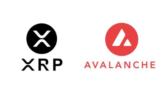 [주요 뉴스] 알트코인 폭발적 성장을 앞두고 고래와 기관들 관심 집중