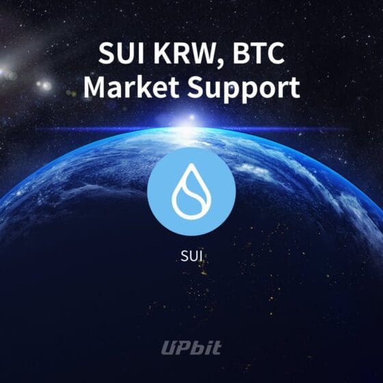 [국감이슈 수이] 유통량 제각각…업비트 보고서와 수이 공시 숫자 달라