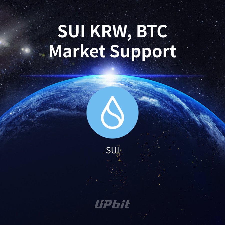 [국감이슈 수이] 유통량 제각각…업비트 보고서와 수이 공시 숫자 달라