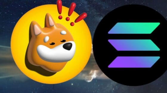 솔라나, 1월 신규 주소 1200만 육박, 역대 최고치–더 블록