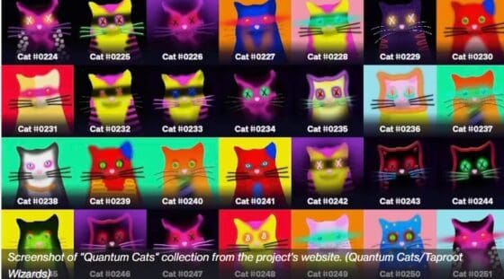 [주요 뉴스] NFT 시장 침체 심화 … 투자자 기대 사라져