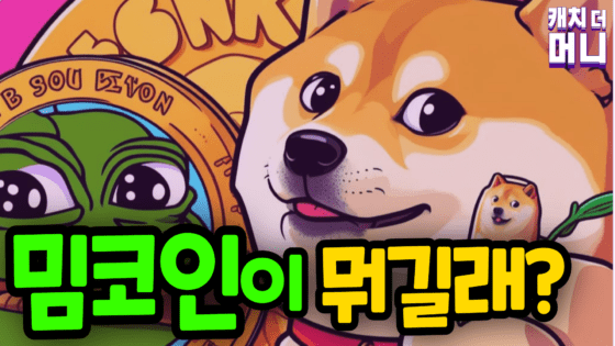 솔라나(SOL), 한 달 간 신규 토큰 50만 개 출시–가능한 이유는!?