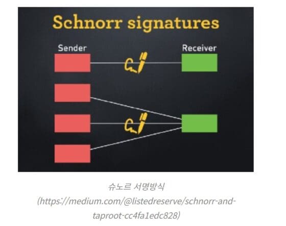 [주요 뉴스] 비트코인 탭루트 업그레이드, 프라이버시와 효율성 증대