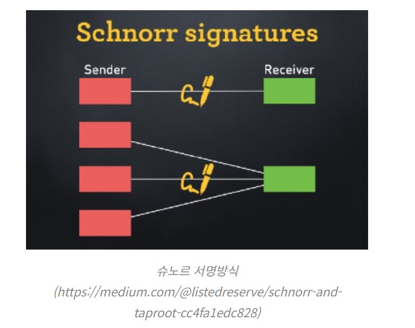 [주요 뉴스] 비트코인 탭루트 업그레이드, 프라이버시와 효율성 증대