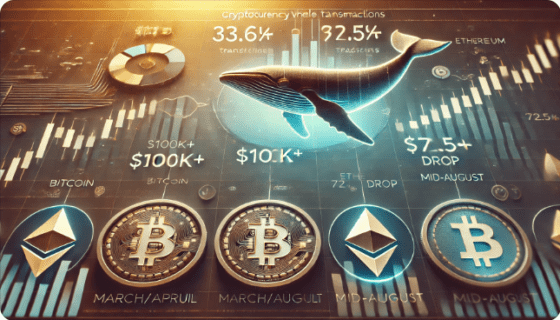 [주요 뉴스] 비트코인 네트워크 트랜잭션 급증, 가격 상승 신호 가능성