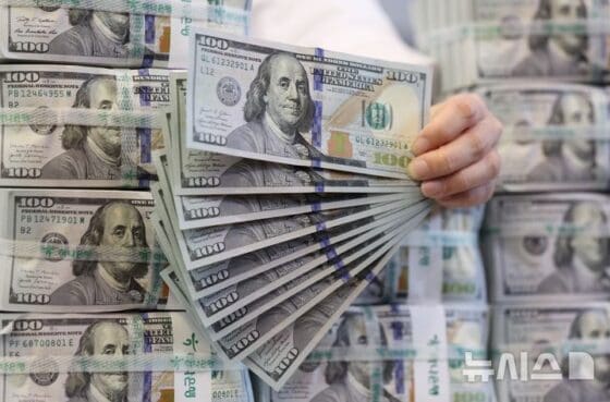 "고환율 여파가 여기까지?"…달러 연동 코인으로 매수세 몰려