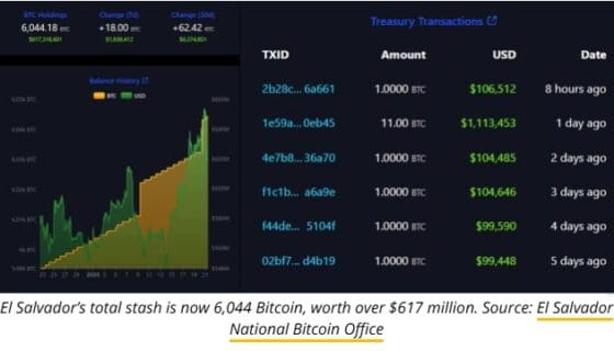 [주요 뉴스] 엘살바도르, IMF 우려 속 비트코인 추가 매입 지속