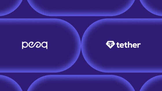 [주요 뉴스] 피크, 세계 최대 규모 스테이블코인 USDT 도입…DePIN 확산 기대