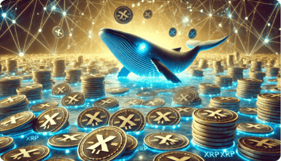 엑스알피(XRP) 고래 보유고, 2개월간 6.5% 증가 … 주소 활동도 폭발적 증가