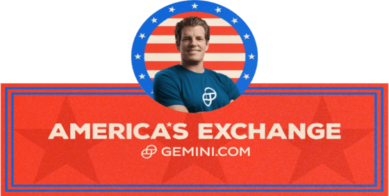 제미니 공동창업자 “전략적 디지털자산 준비금, 비트코인만 적합”