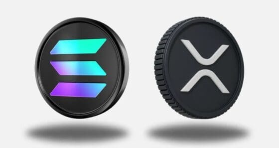 [펀드플로] 연말 차익실현에 비트·이더 ETF 유출… SOL·XRP는 연말 ‘순유입’