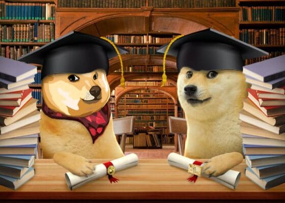 네이로(Neiro) “밈코인, 탈중앙화와 공동 거버넌스로 다시 태어나다”