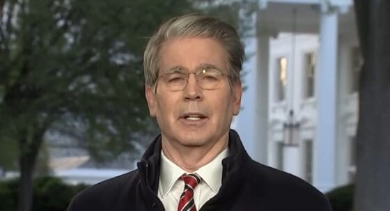 美 재무장관 “금리 높아 장기국채 발행 확대 부적절⋯관세는 내 소관 벗어나”