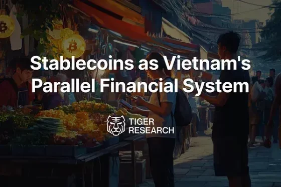 베트남 시장 속 숨겨진 디지털 금융 인프라, 스테이블코인 – 타이거리서치