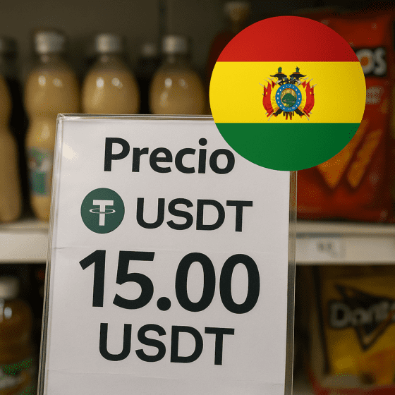 도요타·야마하, 볼리비아서 USDT 결제 도입…라틴 최초 시도