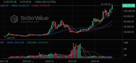 비트코인, 사상 첫 12만달러 돌파…리플·수이·스텔라 급등에 ‘포모’ 확산