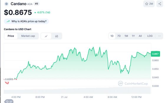 “ADA 돌아왔다”…카르다노, 시총 9위 탈환에 .80 정조준